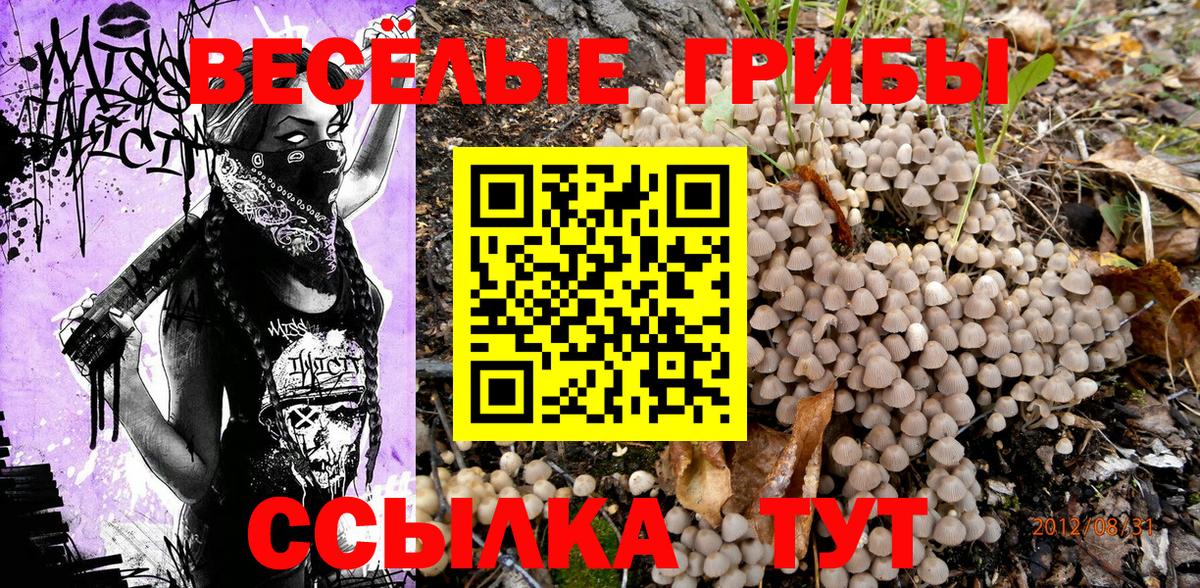 Псилоцибиновые грибы Psilocybine cubensis  Галлюциногенные грибы Magic Shrooms  Самара  Вход с VPN 